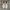 Nike Streetwear Casual Sneakers Pria white green photo 4