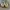 Nike Streetwear Casual Sneakers Pria white green photo 6