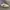 Nike Streetwear Casual Sneakers Pria white green photo 5