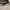 Coach Minimalist Casual Bags & purse Wanita black photo 3