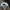 Champion Streetwear Hat Pria white photo 5
