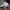 Champion Streetwear Hat Pria white photo 3