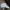 Champion Streetwear Hat Pria white photo 4