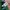 Adidas Y2K Sportswear Tracksuit Pria white green photo 4