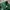 Adidas Y2K Sportswear Tracksuit Pria white green photo 3