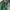 Adidas Y2K Sportswear Tracksuit Pria white green photo 2