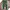 Adidas Y2K Sportswear Tracksuit Pria white green photo 1