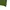 Japanese brand Casual Polo shirt Pria green photo 3