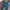 Adidas Sportswear Tracksuit Pria multicolor photo 2