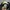 Adidas Streetwear Casual Windbreaker Pria black photo 3