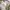 Old Navy Casual Summer dress Wanita cream photo 3