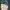 Axes Femme Casual Trench coat Wanita navy photo 3