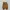Nike Casual Sneakers Pria tan photo 5