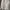 Uniqlo Streetwear Sportswear Windbreaker Pria white photo 1