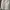 Uniqlo Streetwear Sportswear Windbreaker Pria White