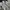 Uniqlo Streetwear Sportswear Windbreaker Pria white photo 2