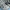 Asics Casual Sneakers Pria green gray photo 2