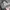 Chase Nascar Vintage Y2K Hat Pria tan photo 3