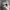 Chase Nascar Vintage Y2K Hat Pria tan photo 4