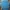 Hollister Vintage Formal shirt Pria blue photo 2