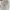 Yves Saint Laurent YSL Luxury Shirt Wanita white photo 6