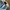 Nike Vintage Streetwear Hat Pria blue photo 7