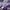 Disney Lolita Futurist Sweater Wanita purple photo 4