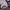 Disney Lolita Futurist Sweater Wanita purple photo 7