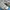 Salomon Casual Sneakers Pria green cream photo 2