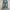 Levi's Vintage Y2K Jeans Pria blue photo 3
