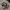 Realtree Vintage Streetwear Hat Pria Multicolor