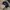 Streetwear Y2K Hat Pria navy photo 3