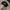 Vintage Y2K Hat Pria navy brown photo 3