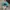 Y2K Hat Pria multicolor photo 4
