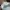 Vintage Y2K Hat Pria white photo 5