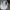 Fila Sportswear Hat Pria white photo 5