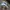 Fila Sportswear Hat Pria white photo 3