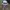 Fila Sportswear Hat Pria white photo 4