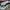 Fila Sportswear Hat Pria white photo 6