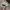 Streetwear Y2K Hat Pria multicolor photo 3