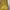 Casual Summer dress Wanita gold photo 3