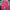 Casual Sweatpants & Joggers Kids pink photo 1