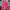 Casual Sweatpants & Joggers Kids Pink