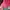 Casual Sweatpants & Joggers Kids pink photo 2