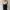Luxury Lolita Pencil skirt Wanita black photo 1