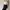 Luxury Lolita Pencil skirt Wanita black photo 3