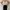 Luxury Lolita Pencil skirt Wanita black photo 4