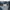 Lee Vintage Denim jacket Pria navy photo 3
