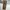 NEPA Biker Sportswear Tracksuit Pria brown photo 2