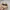Luxury Casual Hat Pria tan cream photo 3